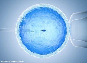 陈副主任医师